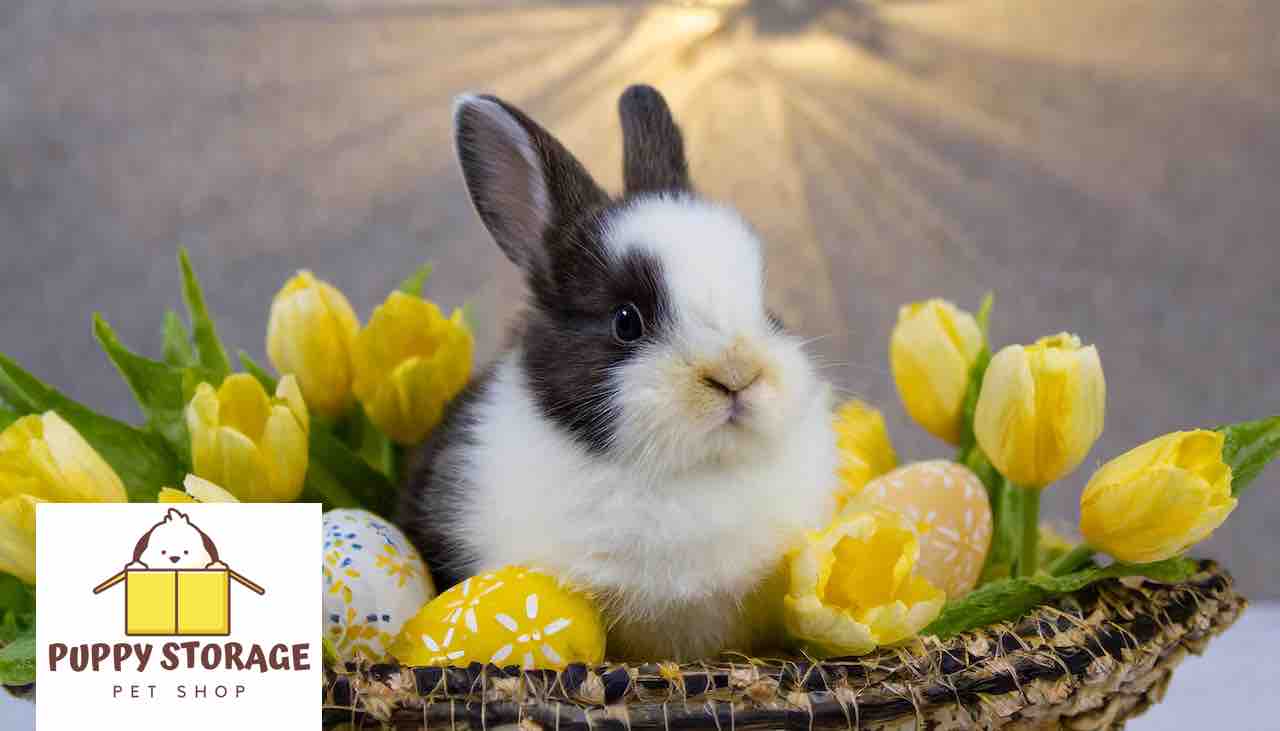 bunny in a basket with tulips puppystorage.com logo