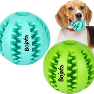 dog holding rubber ball and other balls showing