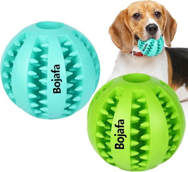 dog holding rubber ball and other balls showing