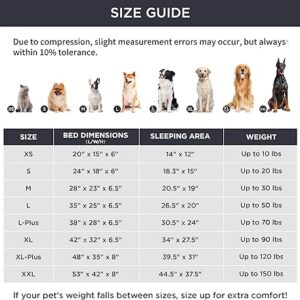 dog bed chart size