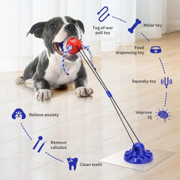 suction toy with lots of explained features