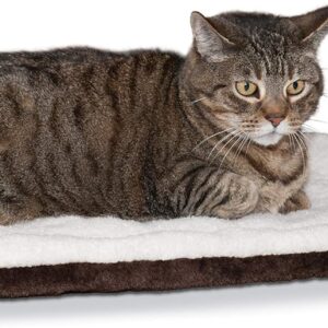 self warming pet bed with pretty cat ontop