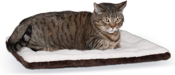 self warming pet bed with pretty cat ontop