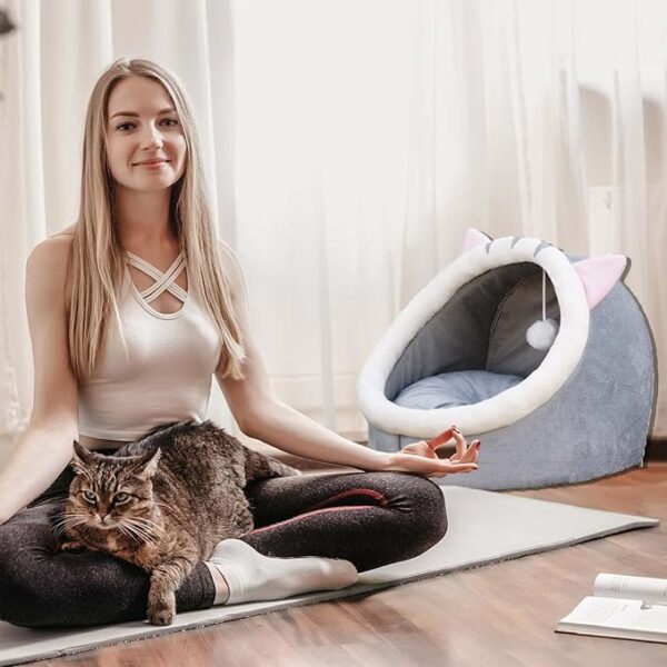 yoga cat and cat bed all in one space